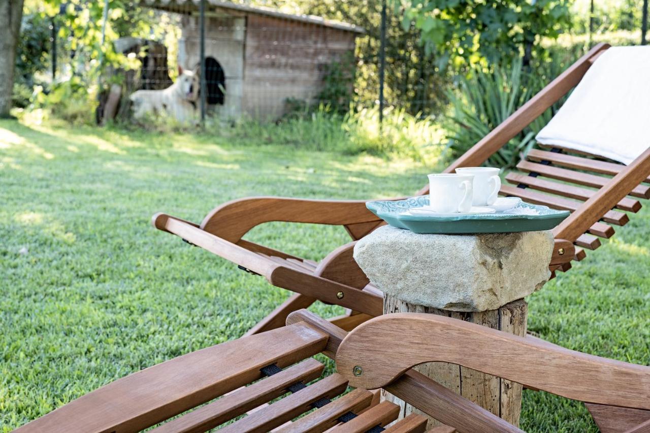 Villa Curte Nicia Nizza Monferrato Eksteriør billede